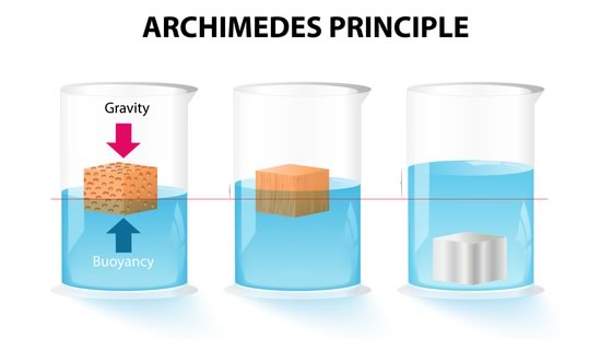 the Archimedes' Principle